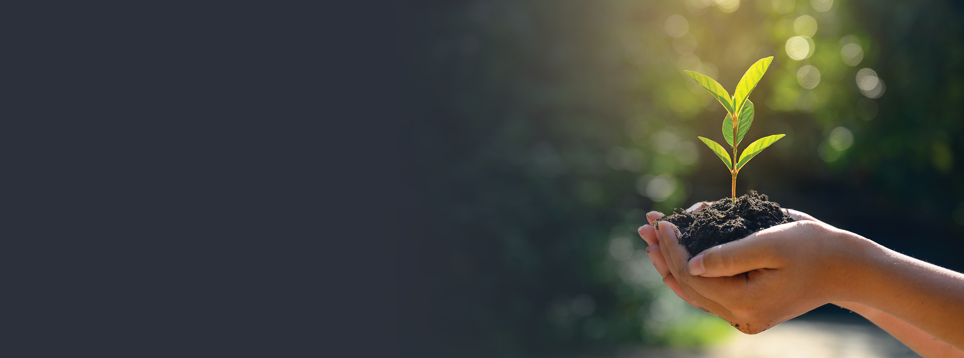 Invest in people homepage web banner 1920x713