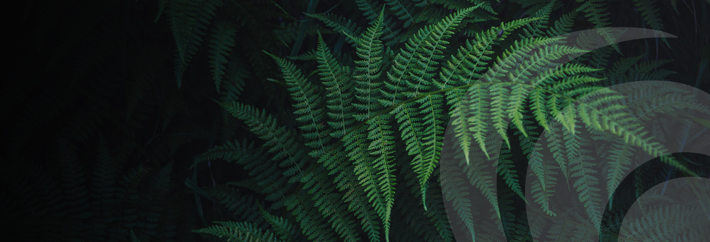 Careers Graduates & Internship Recruitment Baker Tilly Staples Rodway