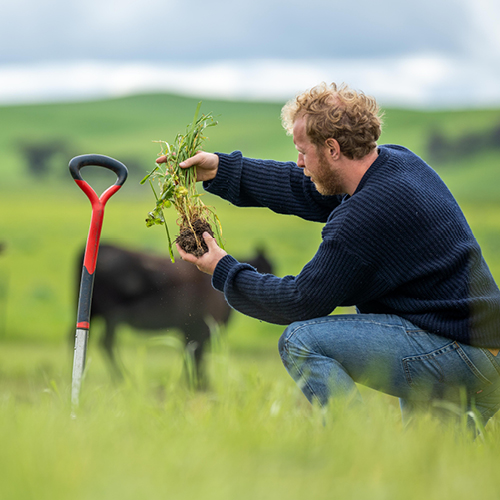 Successful farming 500x500