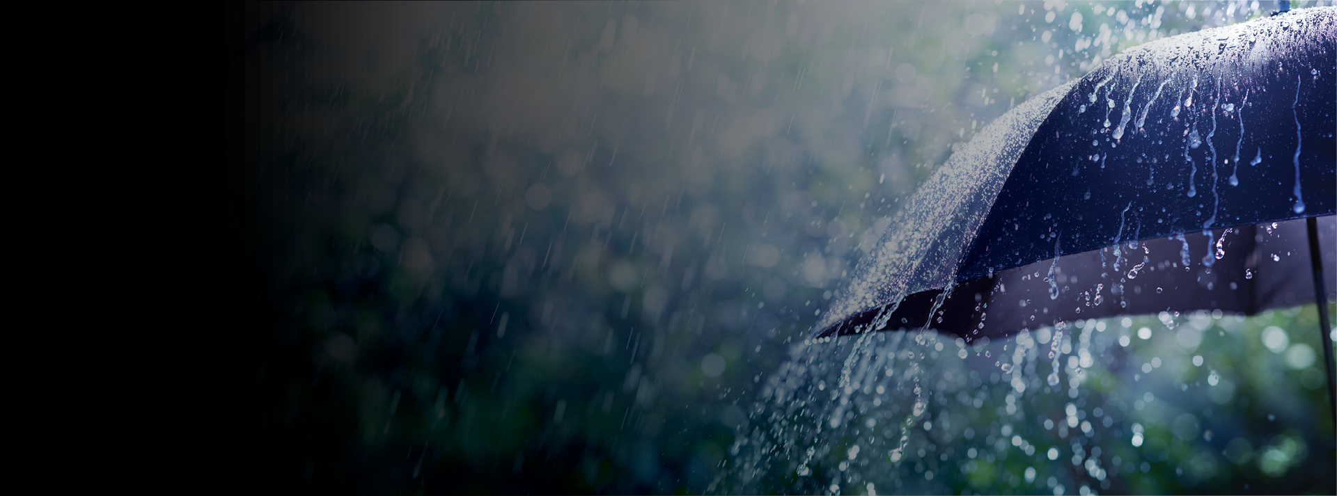 Tax Talk Auckland Floods BTSR homepage web banner 1920x713