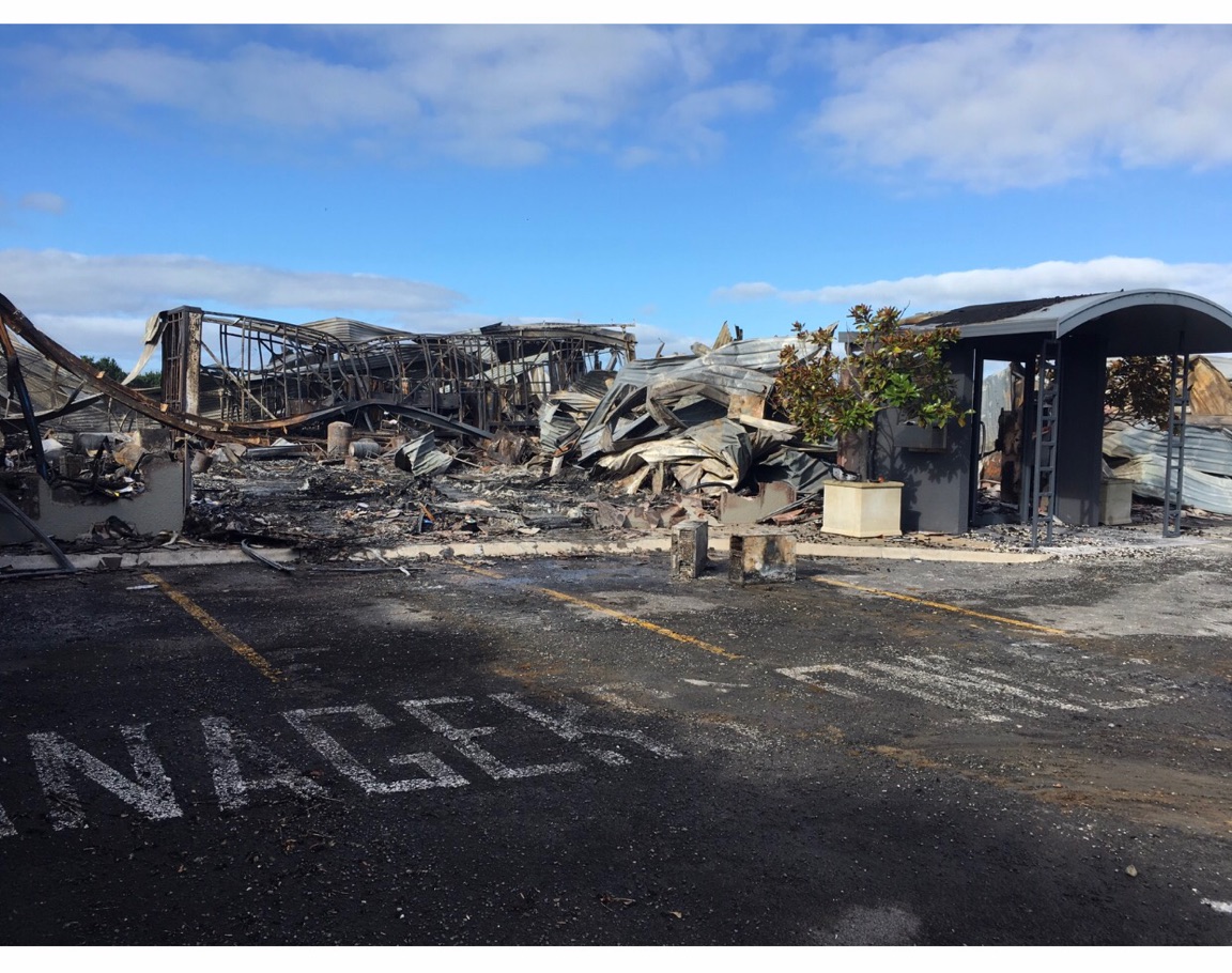 Client Case Study where to start when your business is completely